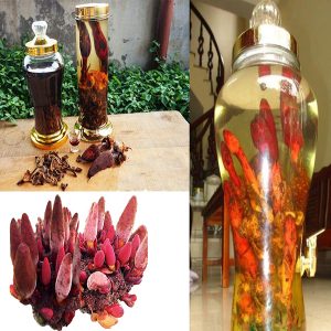 Nấm ngọc cẩu ngâm rượu 1