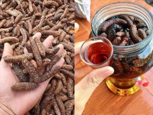 Chuối hột ngâm rượu 6