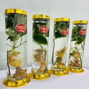 Công dụng và cách làm sâm ngọc linh ngâm rượu 1