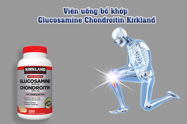 Hỗ trợ điều trị bệnh thoái hóa xương khớp, thoái hóa khớp nguyên phát, thứ phát, viêm khớp mãn tính
