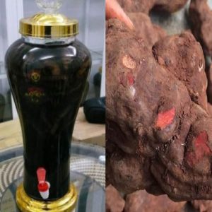 Hà thủ ô ngâm rượu1