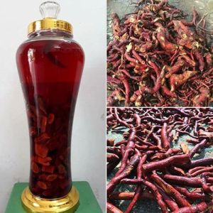 Mú từn ngâm rượu 1