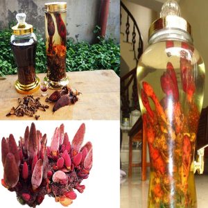 Nấm ngọc cẩu ngâm rượu và công dụng 1