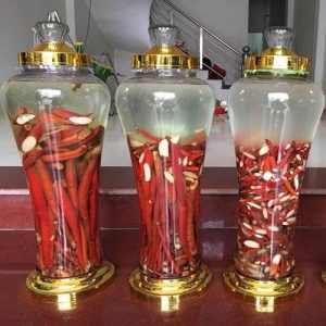 Sâm cau ngâm rượu 1