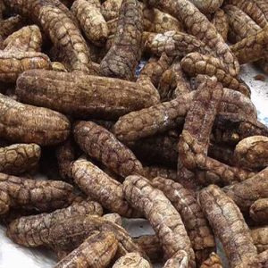 Chuối hột ngâm rượu 1