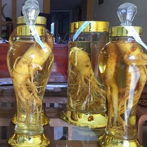 đinh lăng ngâm rượu