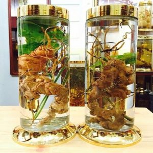 Tam thất ngâm rượu 1