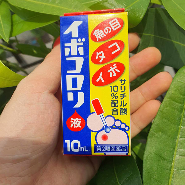Ibokorori có xuất xứ từ Nhật Bản