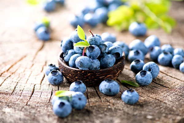 Anthocyanin, Pterostilbene trong Blueberry có khả năng vượt qua hàng rào máu não, giúp chống gốc tự do, bảo vệ tế bào thần kinh và mạch máu não, chống lại các bệnh mà gốc tự do gây nên