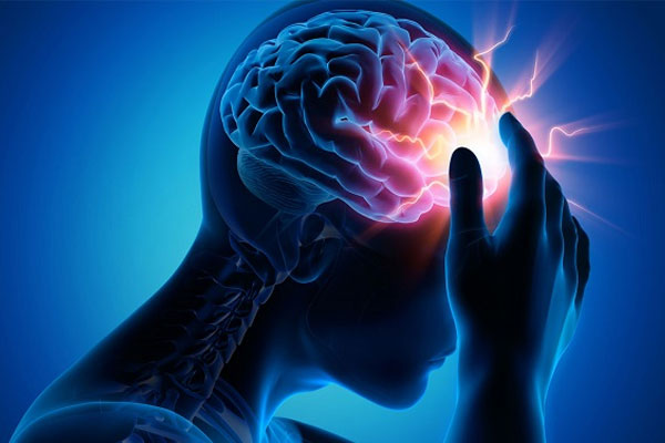 Não hay còn gọi là óc, là trung tâm điều khiển của hệ thần kinh trung ương, chịu trách nhiệm điều khiển hành vi